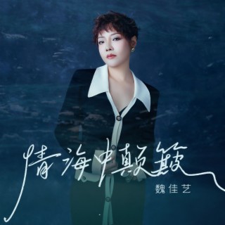 情海中颠簸(DJ默涵版)