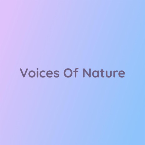 Voices Of Nature | Boomplay Music