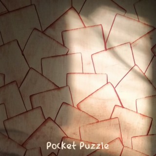 Pocket Puzzle