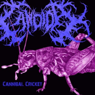 Cannibal Cricket