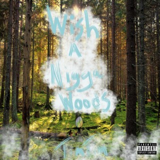 Wish a nigga woods