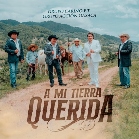 A Mi Tierra Querida | Boomplay Music