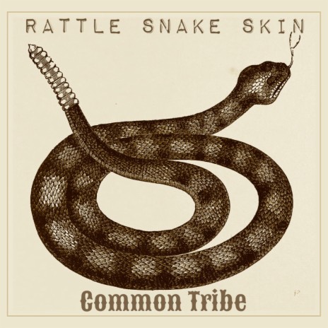 Rattle Snake Skin