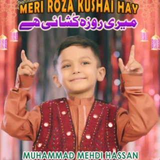 Meri Roza Kushai Hay (Muhammad Mehdi)