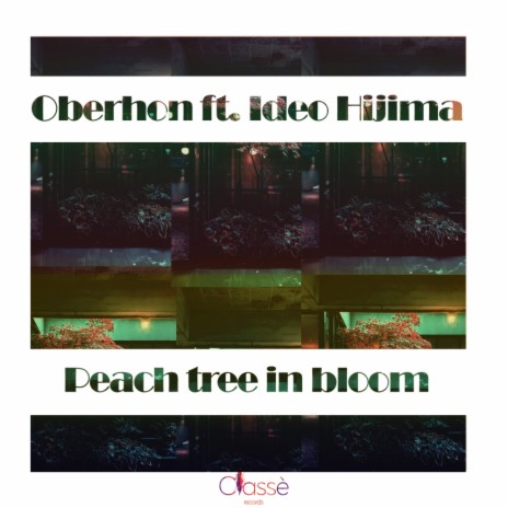 Peach tree in bloom (Original Mix) ft. Ideo Hijima