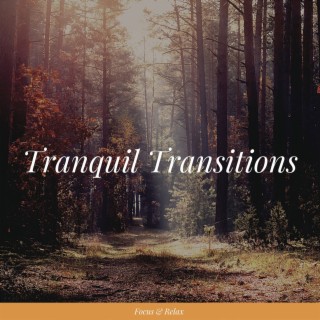 Tranquil Transitions - Guide Your Journey