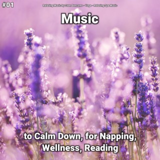 #01 Music to Calm Down, for Napping, Wellness, Reading