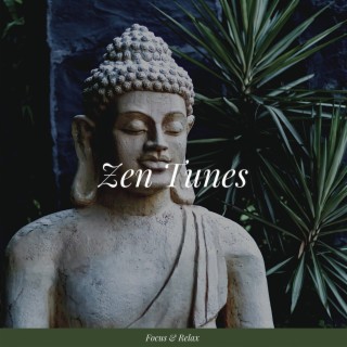 Zen Tunes: 432 Studying Serenity