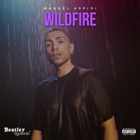 Wildfire | Boomplay Music