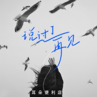 说过了再见 (伴奏) lyrics | Boomplay Music