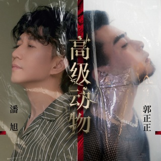 高级动物 (DJ House Studio伴奏) ft. 郭正正 lyrics | Boomplay Music