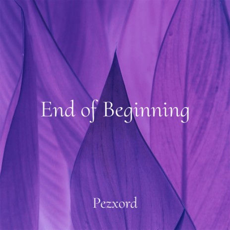 End of Beginning (Slowed Remix)