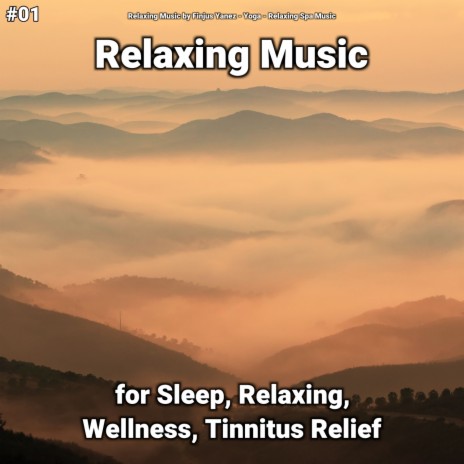 Peaceful Sounds to Focus ft. Yoga & Relaxing Spa Music | Boomplay Music
