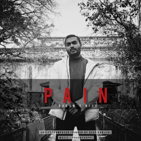 Pain Doesn't Bite | Boomplay Music