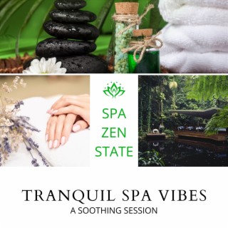 Tranquil Spa Vibes: a Soothing Session