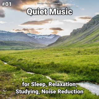 #01 Quiet Music for Sleep, Relaxation, Studying, Noise Reduction