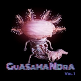 Guasamandra, Vol. 1