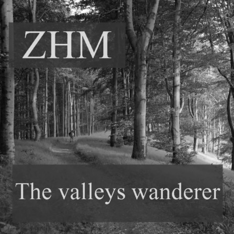 The valleys wanderer
