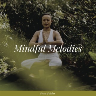 Mindful Melodies: Focus & Unwind