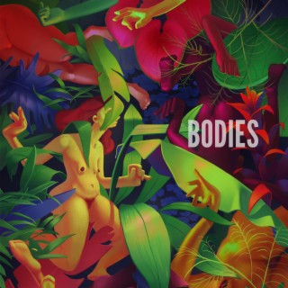 bodies