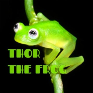 The Frog