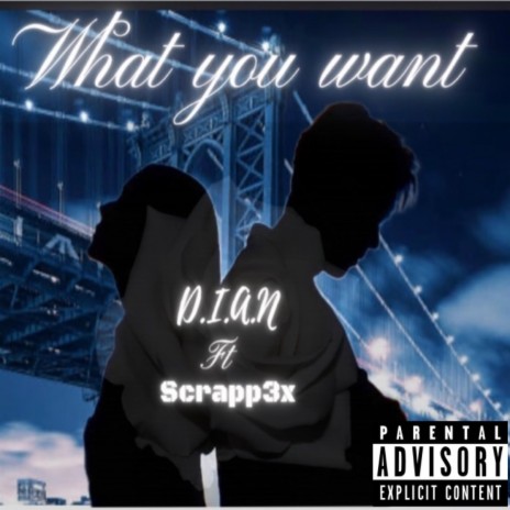 What You Want ft. Scrapp3x | Boomplay Music