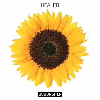 Healer (Live)