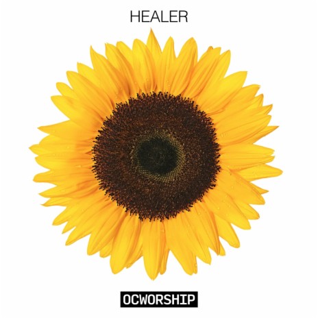 Healer (Live) ft. Tommy Murphy | Boomplay Music
