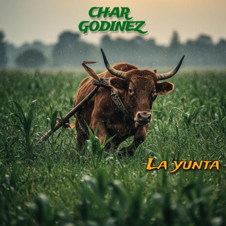 La Yunta | Boomplay Music