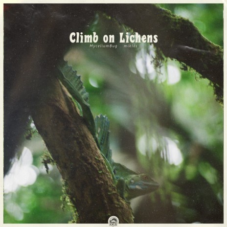 Climb on Lichens ft. miklós