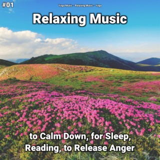 #01 Relaxing Music to Calm Down, for Sleep, Reading, to Release Anger