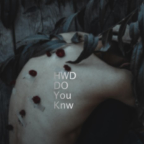 Hwd Do You Knw | Boomplay Music