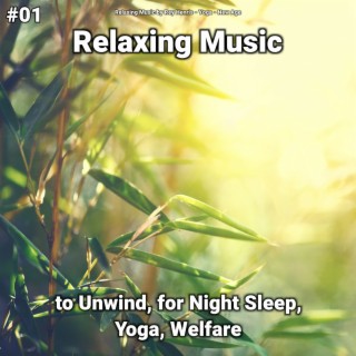 #01 Relaxing Music to Unwind, for Night Sleep, Yoga, Welfare