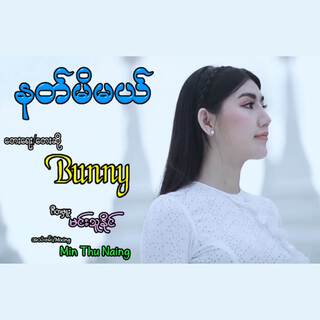 နတ်မိမယ်