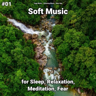 #01 Soft Music for Sleep, Relaxation, Meditation, Fear
