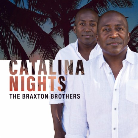 Catalina Nights | Boomplay Music