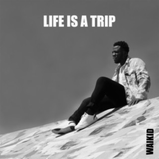 Life is a Trip lyrics | Boomplay Music