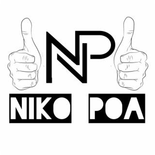 Niko poa lyrics | Boomplay Music