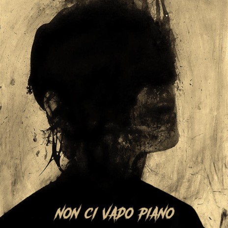 Non ci vado piano | Boomplay Music