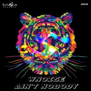 Ain´t NoBody