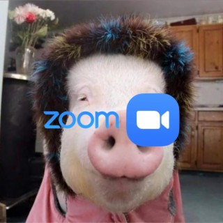 zoom meeting