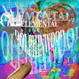 Elemental Dolphinwood Folder One