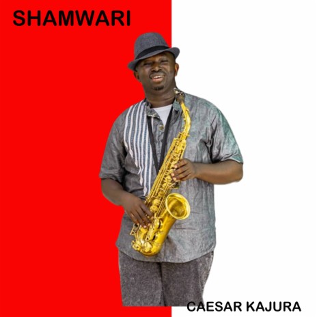 Shamwari | Boomplay Music