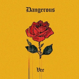 Dangerous lyrics | Boomplay Music