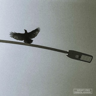Wings (Roost) lyrics | Boomplay Music