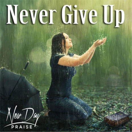 Never Give Up | Boomplay Music