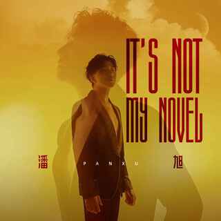 It's not my novel (伴奏) lyrics | Boomplay Music