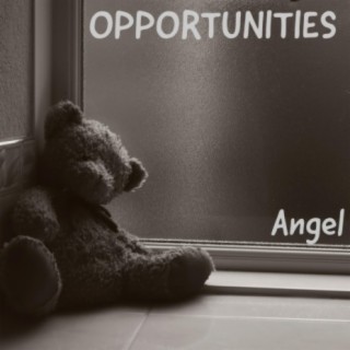 OPPORTUNITIES