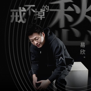 戒不掉的愁 lyrics | Boomplay Music