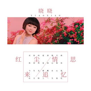 红尘情思来追忆 (伴奏) lyrics | Boomplay Music